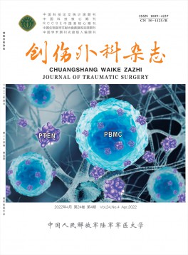 CSCD半岛星空下载与多特蒙德续约官