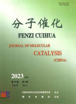 半岛星空下载限时优惠推荐