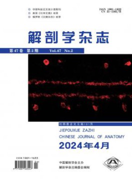 国际刊号