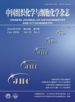 国际刊号：1006-2238