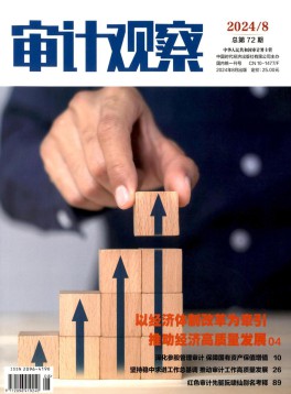 主管单位：中国内部审计协会